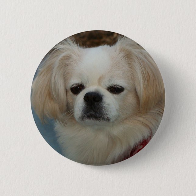 cute Pekingese 6 Cm Round Badge (Front)