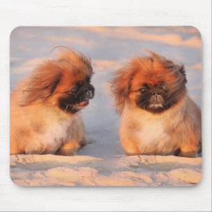 Cute Pekingese Dogs Mouse Pad