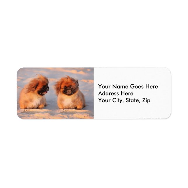 Cute Pekingese Dogs Return Address Label (Front)