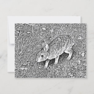Cute pencil sketch bunny  postcard