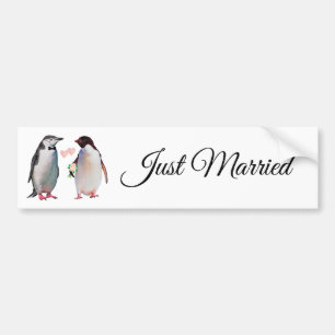 Cute Penguin Couple Just Married Bumper Sticker