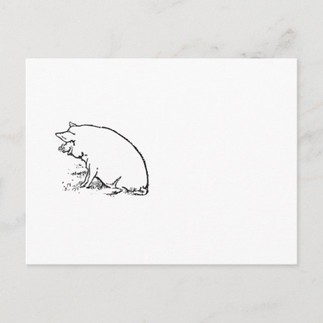 Cute Perky Pig Cartoon, Farm Animal Ink Sketch Postcard (Front)