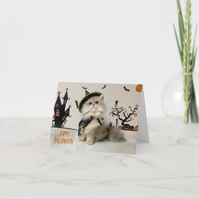 Cute Persian Cat in Halloween Costume  Card (Front)