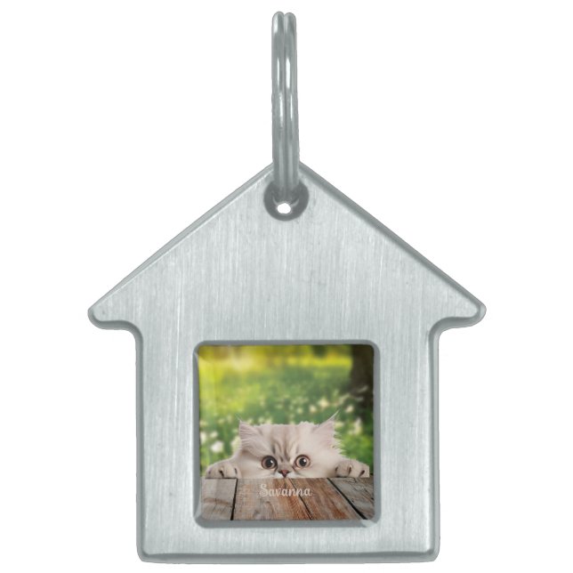 Cute Persian Peeking Cat  Pet ID Tag (Front)