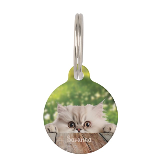 Cute Persian Peeking Cat  Pet Tag (Front)