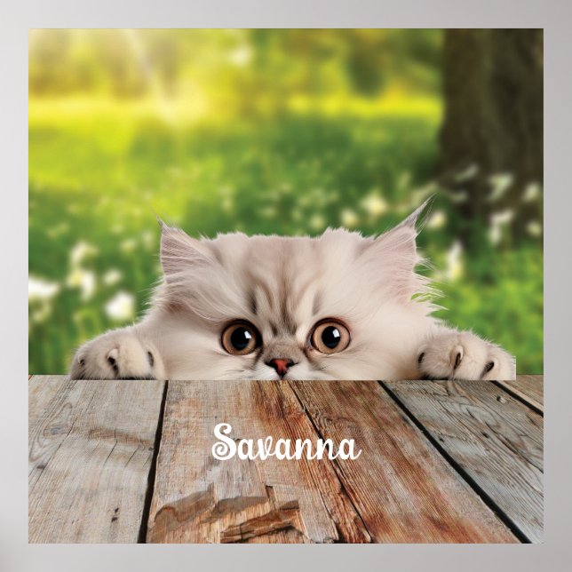Cute Persian Peeking Cat  Poster (Front)