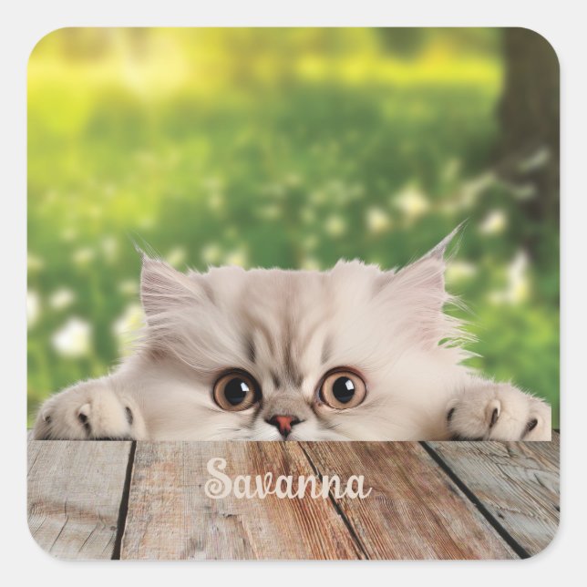 Cute Persian Peeking Cat  Square Sticker (Front)