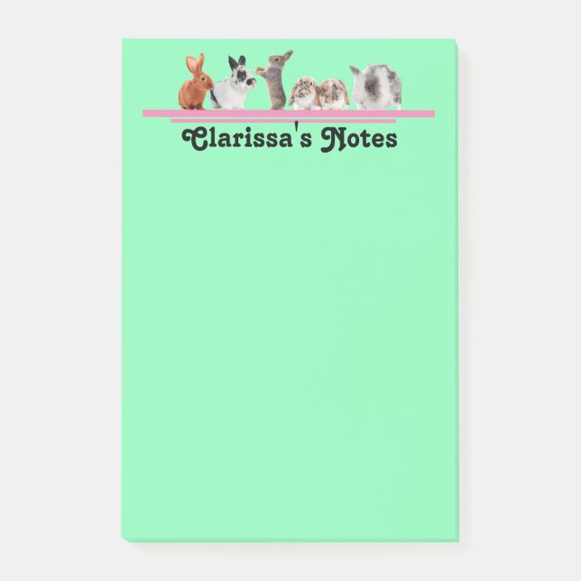 Cute Personalised Bunny Stationery Sticky Post-it Notes (Front)