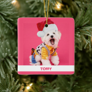 Cute Personalised Christmas Pet Ceramic Ornament