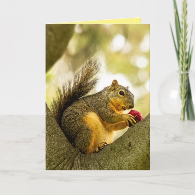 Cute Personalised Customisable Squirrel Card (Front)