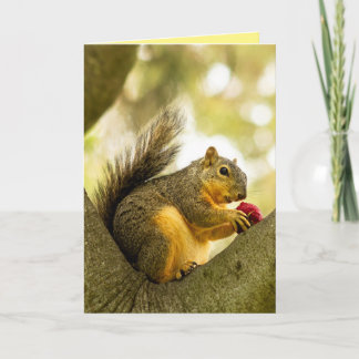 Cute Personalised Customisable Squirrel Card