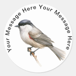 Cute Personalised SongBird Stickers Blackcap