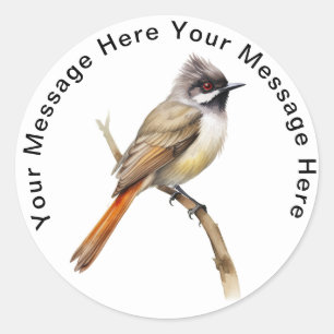 Cute Personalised Songbird Stickers Bulbul