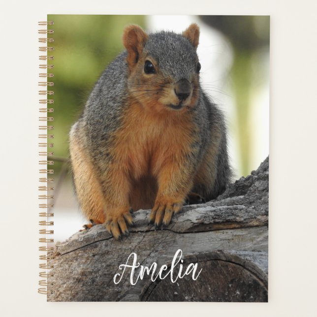Cute Personalised Squirrel Planner (Front)