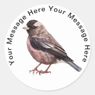 Cute Personalised Stickers Black Rosy Finch