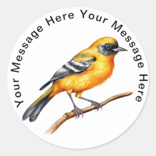 Cute Personalized Bird Stickers Baltimore Oriole