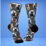 Cute Pet 2 Dog Photo Socks<br><div class="desc">These dog photo socks are the perfect gift for any dog lover. You can upload two photos of your pet to these socks. These socks also make the perfect Christmas gift for any dog mum. Enjoy!</div>