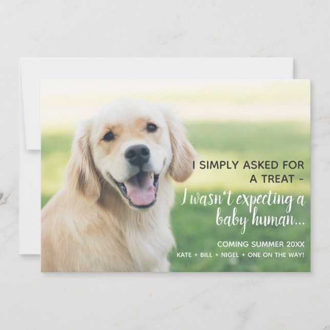 Cute Pet Baby Human Pregnancy Announcement (Front)