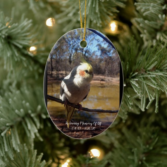 Cute Pet Bird In Loving Memory Memorial Christmas Ceramic Ornament (Tree)
