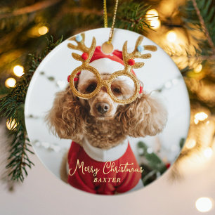 Cute Pet Christmas Photo Naughty Dog Funny Puppy Ceramic Ornament