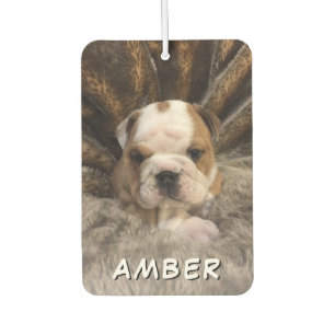 Cute Pet Dog Cat Name Custom Photo Car Air Freshener