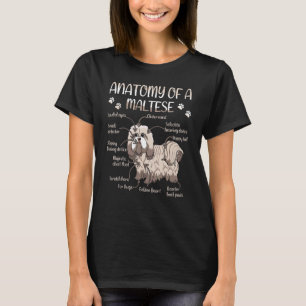 Cute Pet Dog Definition Animal Anatomy Of Maltese T-Shirt