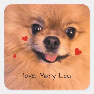 Cute Pet Dog Pomeranian Children's Valentine Square Sticker