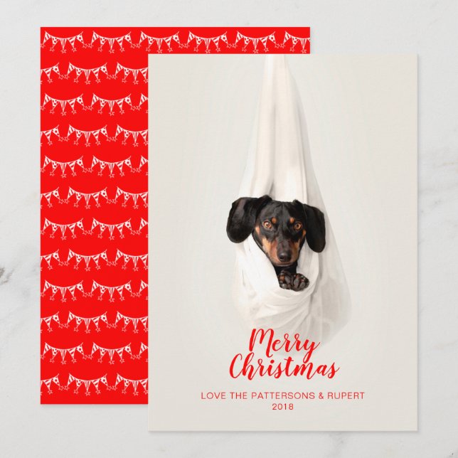 Cute Pet Family Puppy Dog Christmas Photo Holiday Card (Front/Back)