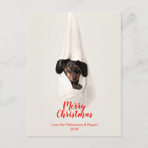 Cute Pet Family Puppy Dog Christmas Photo Holiday Postcard