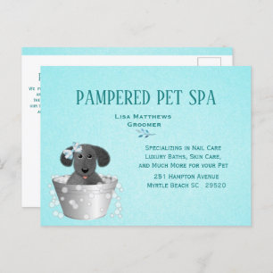 Cute Pet Groomer Budget Marketing  Postcard