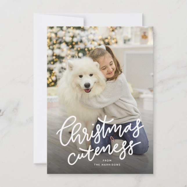 Cute pet holiday card (Front)