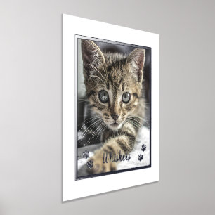 Cute Pet Lovers Personalised Cat Photo Foil Prints