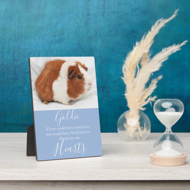 Cute Pet Memorial Plaque (Side)