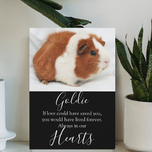 Cute Pet Memorial Plaque