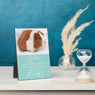 Cute Pet Memorial Plaque