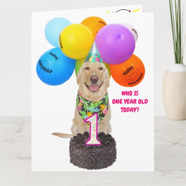 Cute Pet One Year Birthday Card (Front)