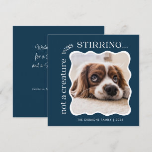 Cute Pet Photo Blue Christmas Holiday Card