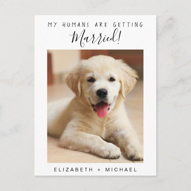 Cute Pet Photo Engagement Announcement Postcard (Front)