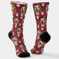 Cute Pet Photo & Paw Prints Cardinal Red Dog Cat