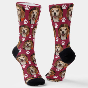 Cute Pet Photo & Paw Prints Cardinal Red Dog Cat Socks