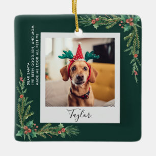 Cute Pet Photo Script Funny Dog Christmas Ceramic Ornament