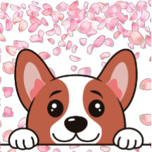 Cute - Pet Printed Blanket