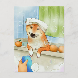 Cute Pet Shiba Inu Dog Bathing Funny Postcard