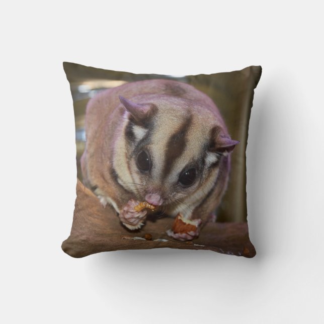 Cute Pet Sugar Glider Eating Cushion (Front)