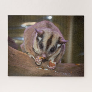 Cute Pet Sugar Glider Eating Jigsaw Puzzle