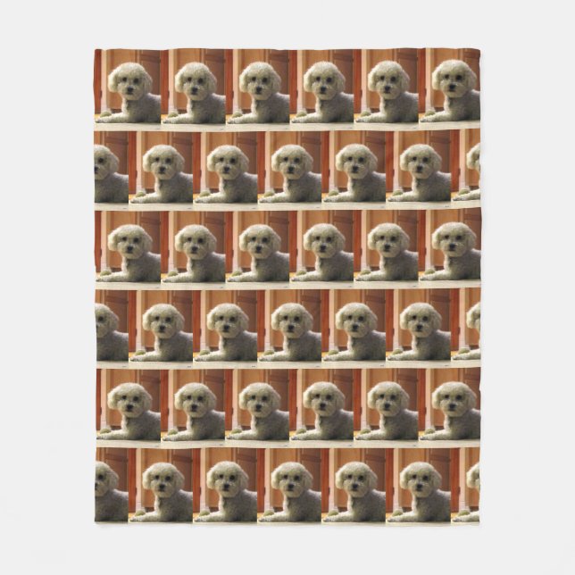 Cute Pet Warm Fleece Blanket (Front)