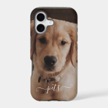 Cute pets photo for remember