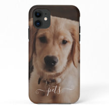 Cute pets photo for remember