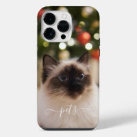 Cute pets photo for remember