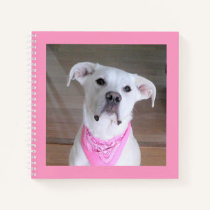 Cute Photo of White Dog Wearing Pink Scarf Notebook